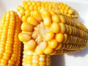 corn-87332_1280
